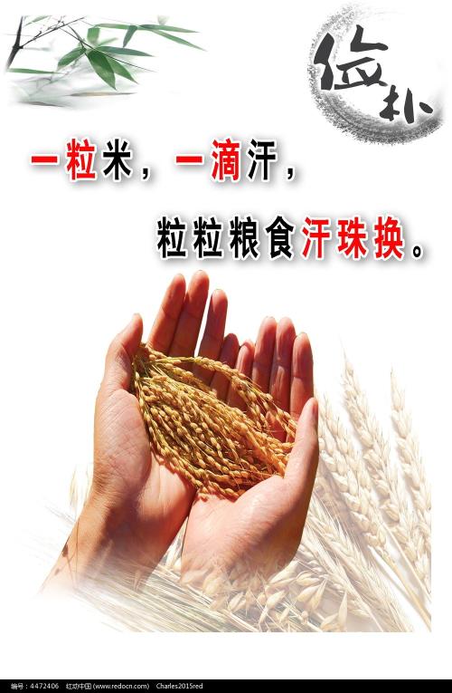 奈良教育大学 Science and technology diploma